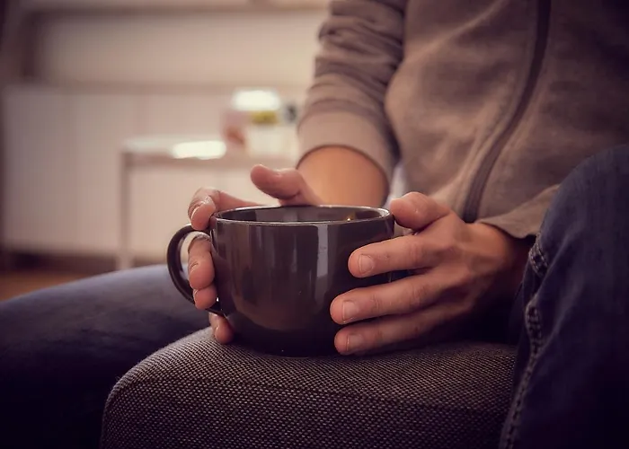 Apartment Gemuetliche In Zentraler Lage Graz